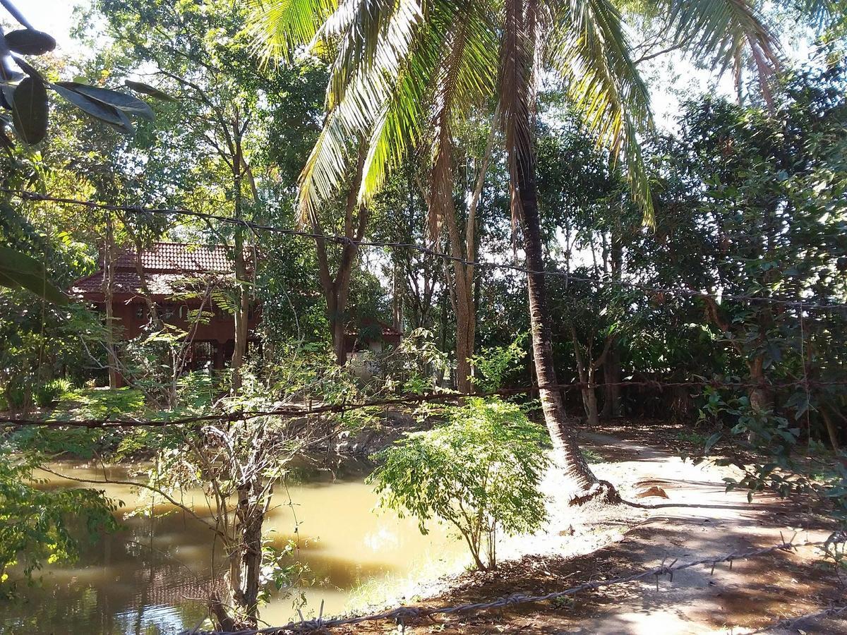Your Home In Mae Rim Ban Muang Pha エクステリア 写真