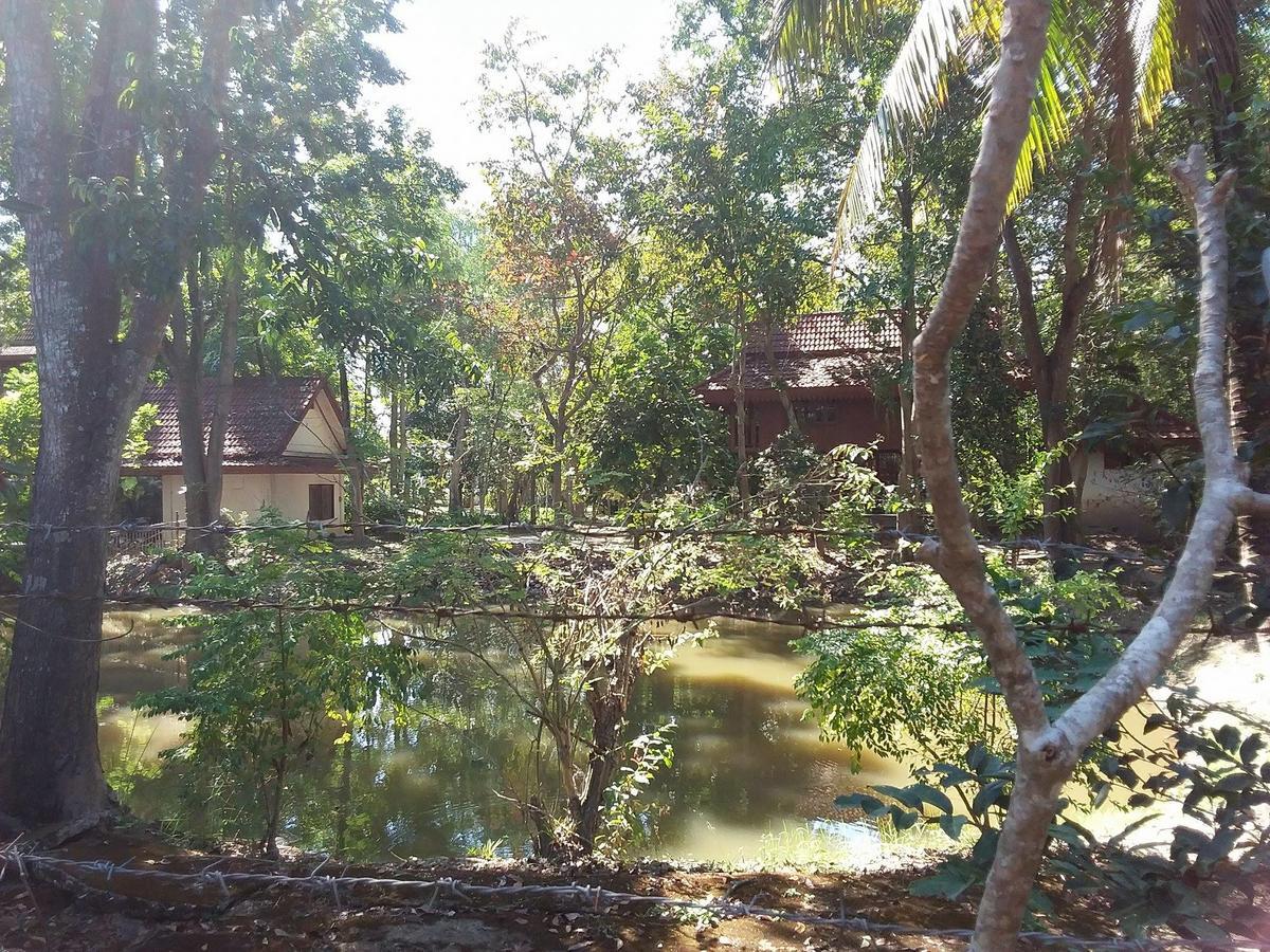Your Home In Mae Rim Ban Muang Pha エクステリア 写真