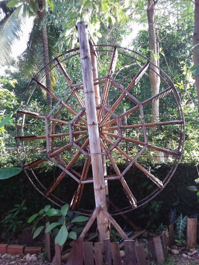 Your Home In Mae Rim Ban Muang Pha エクステリア 写真