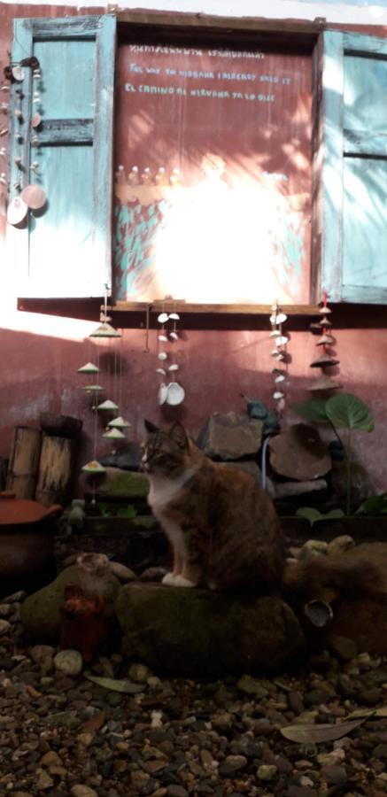 Your Home In Mae Rim Ban Muang Pha エクステリア 写真